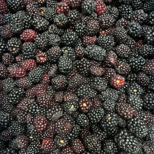 Blackberry