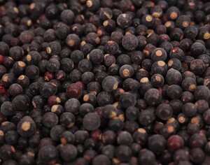 Черная смородина