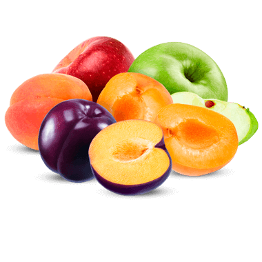 Fruits