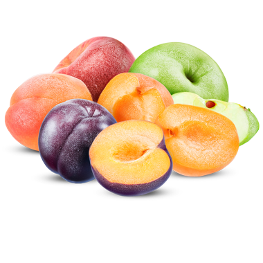 Fruits